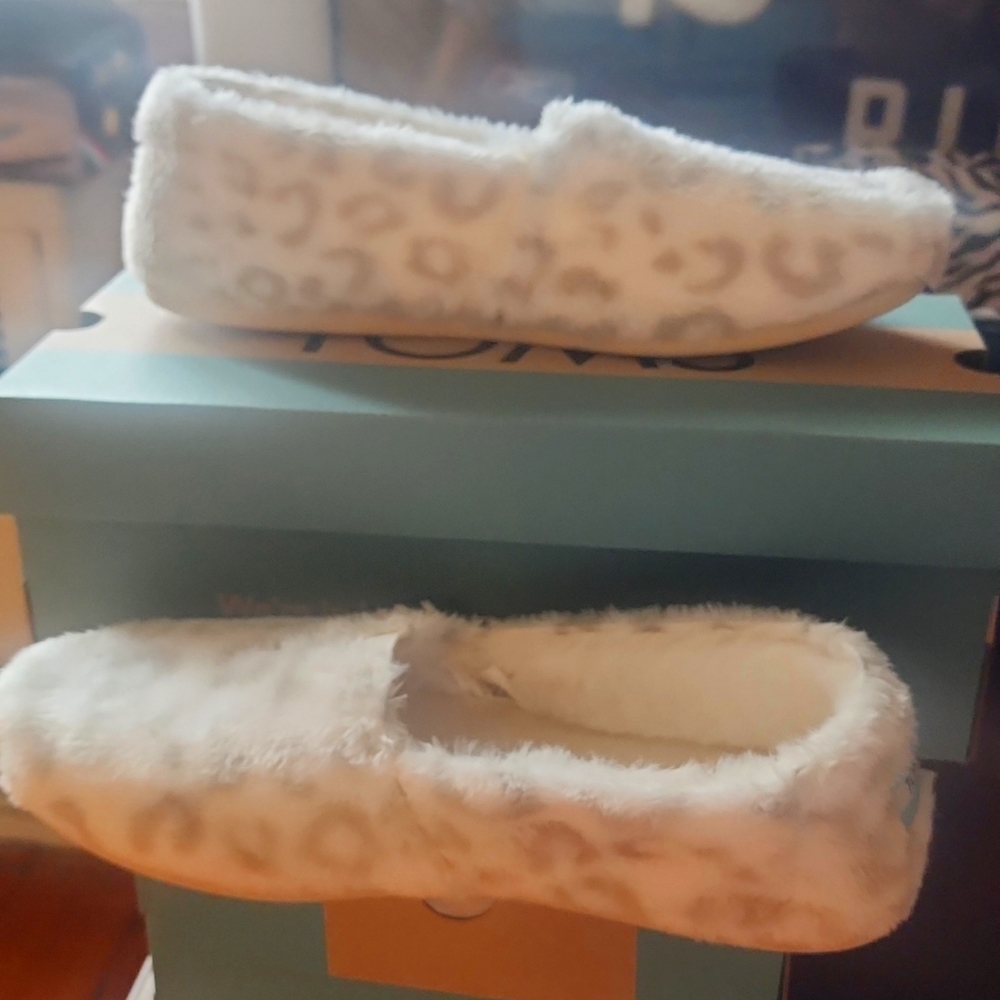 Women's Tom's slip on
